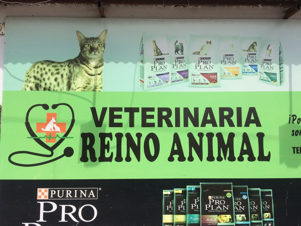 Reino Animal': puro amor humano al servicio de tus mascotas