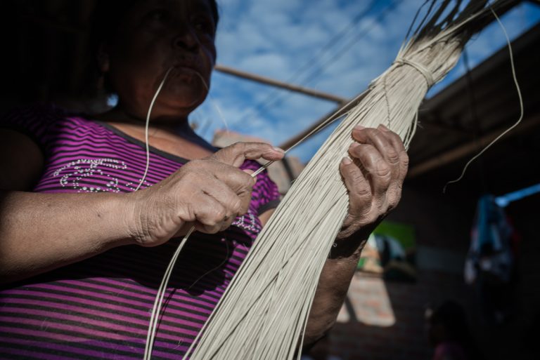 Tejedoras de paja toquilla fueron perjudicadas por el Niño