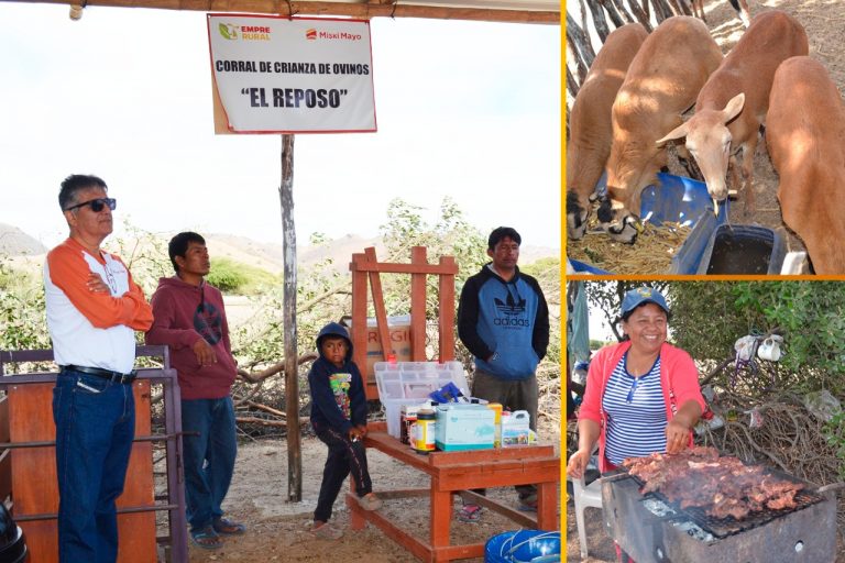 Ganaderos de Sechura incursionarán en venta de quesos y yogures de leche de cabra