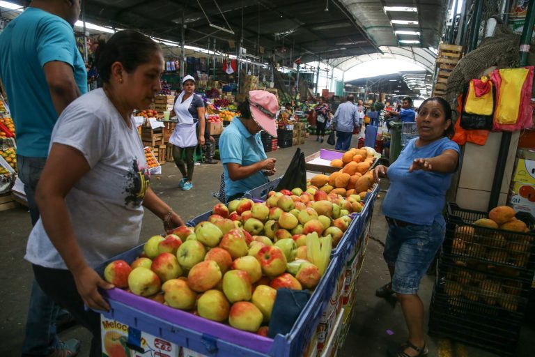 Bolsas de plástico: mercados y bodegas pequeñas no deben cobrar impuesto
