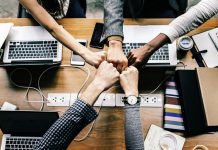 5 tips para crear equipos de trabajo sólidos en las empresas