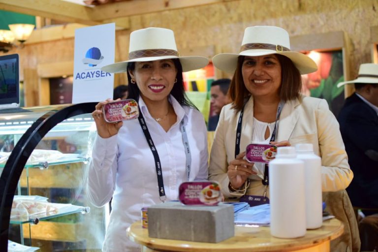 Empresa piurana crea la primera conserva de conchas de abanico