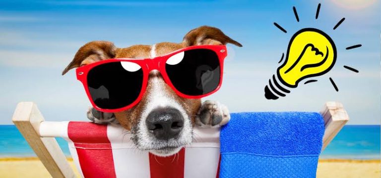 Ideas de negocio rentables para el verano