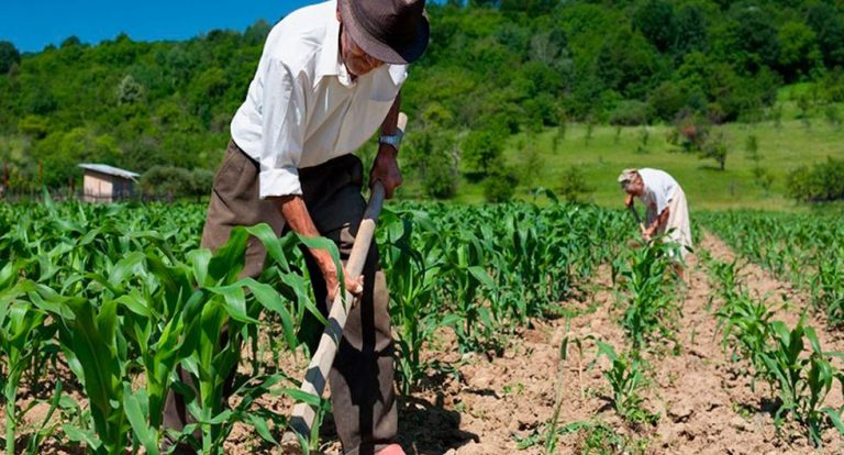 Bono Rural S/760: Ya está listo el link para conocer si accedes al subsidio