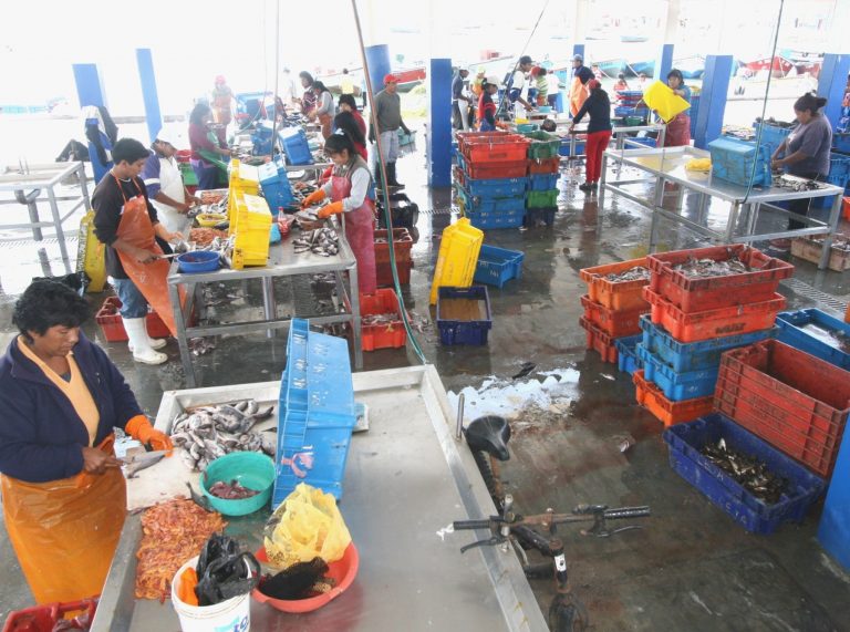 Fondepes: Pescadores accederán a préstamos de hasta S/2 mil