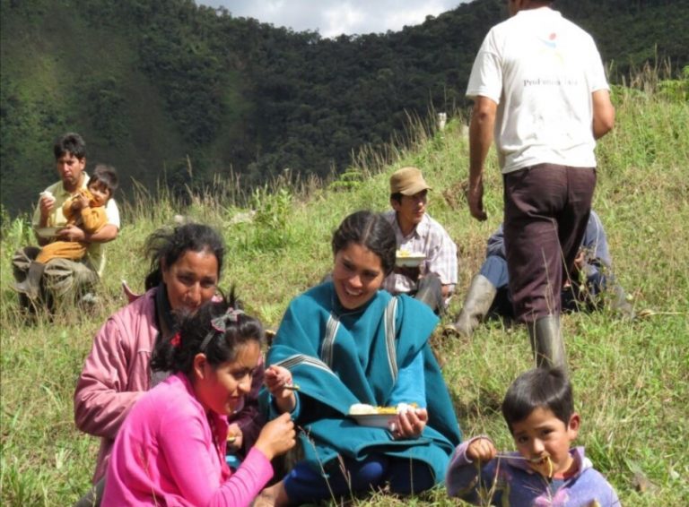 Huancabamba: Promueven consumo de panela orgánica