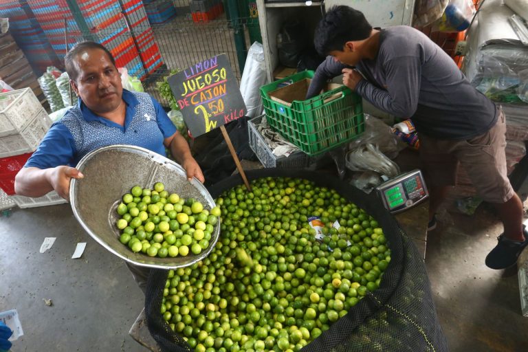 Más de 10,000 toneladas de alimentos ingresaron a mercados mayoristas