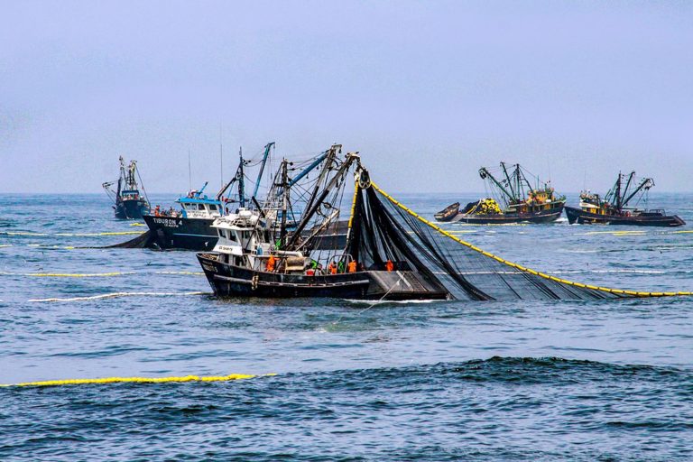 Sectores productivos afectados en marzo por menores días de actividad