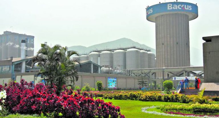 Backus anuncia compras de maíz para apoyar reactivación del agro