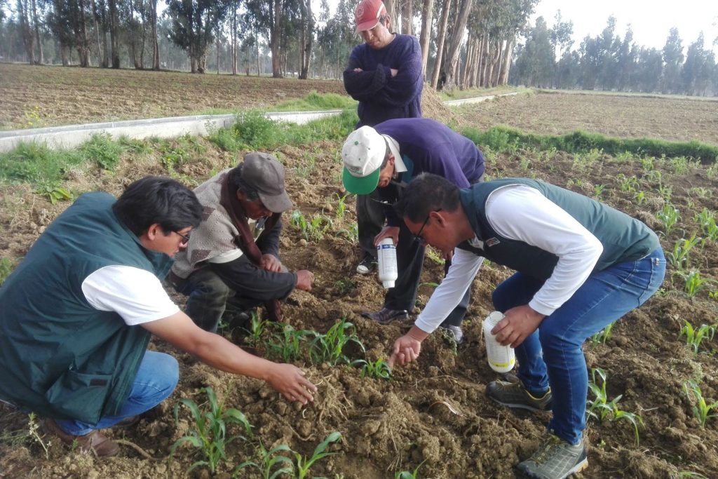 Establecen nuevas condiciones laborales para trabajadores del sector agrario SECTOR AGRARIO
