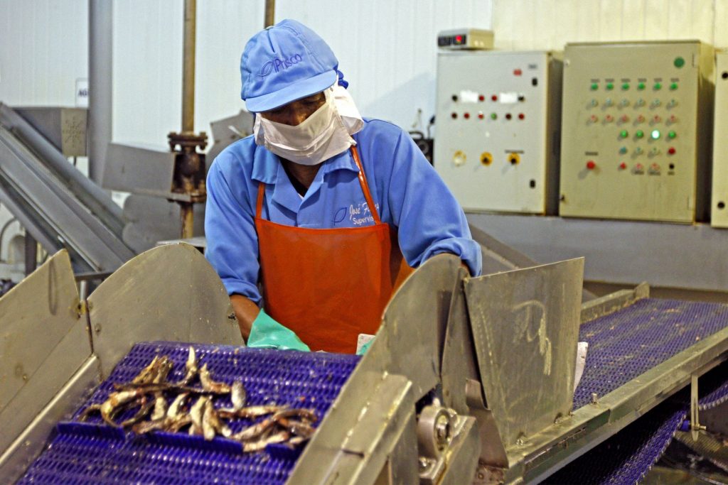 Conoce cómo serán las gratificaciones en época de COVID-19 trabajador, gratificación