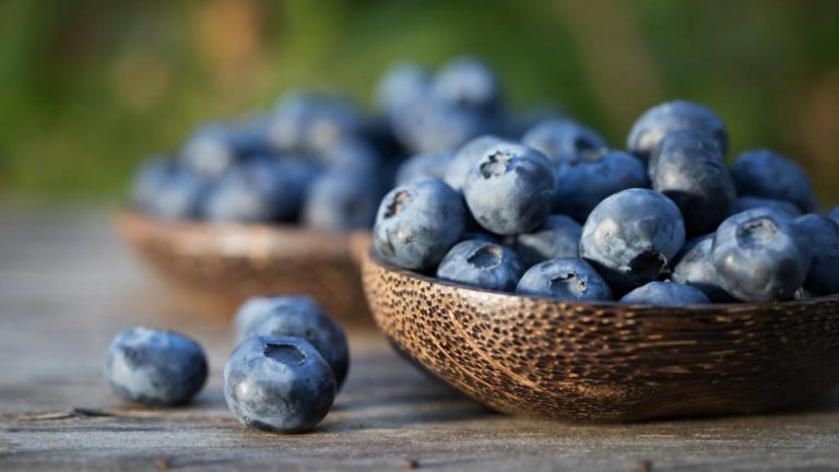 Perú se consolida como primer exportador de arándanos