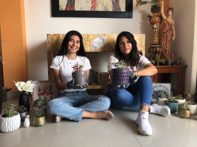 Las plantas y artículos de decoración como idea de negocio