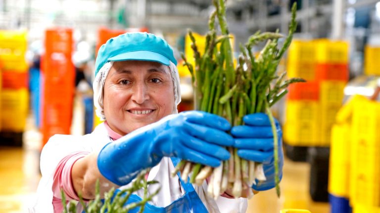 Fondo Mipyme Emprendedor tiene recursos por S/ 125 millones