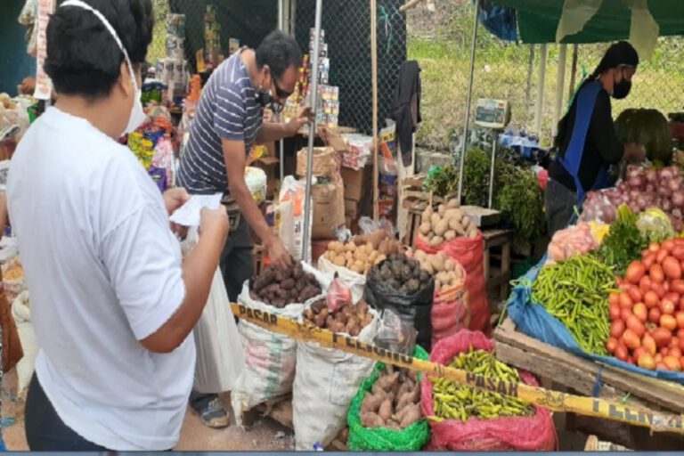 agricultura familiar