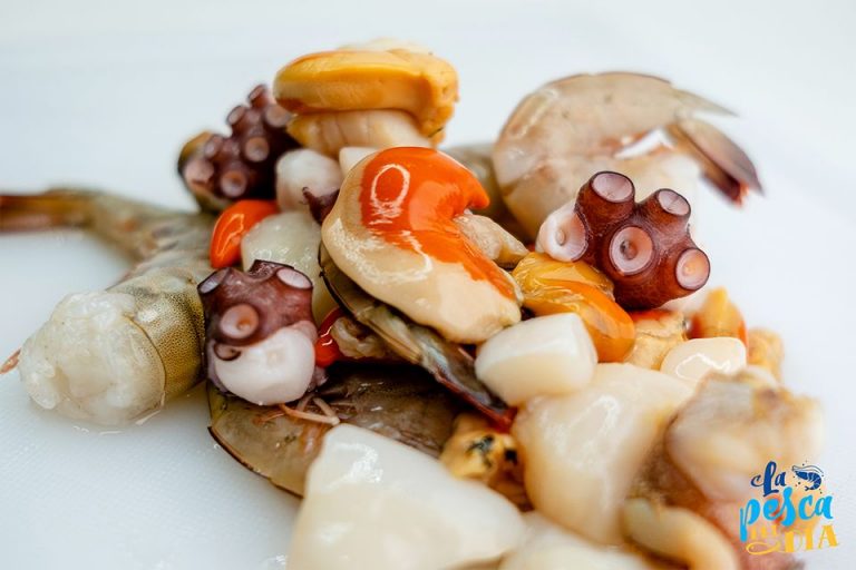 La pesca del día, tu mejor opción en pescados y mariscos