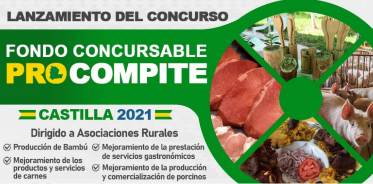 Mypes de Castilla competirán por fondo concursable de 300 mil soles