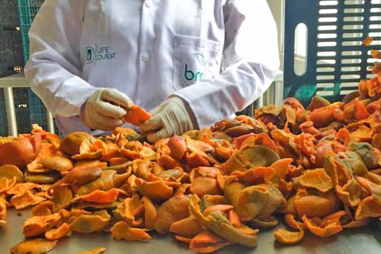 Emprendedor crea desinfectante natural a partir de cáscaras de frutas