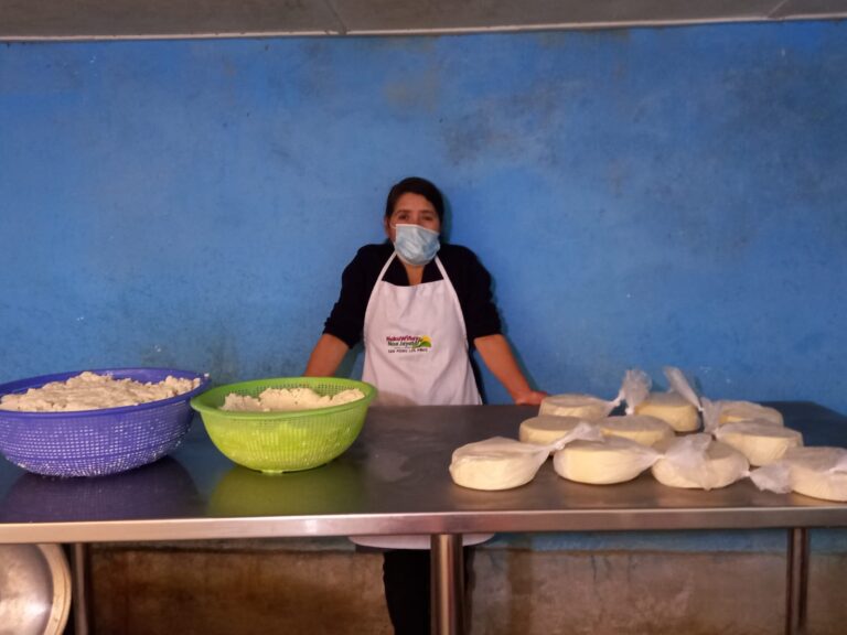 Usuaria de Juntos inicia exitoso emprendimiento de producción de quesos