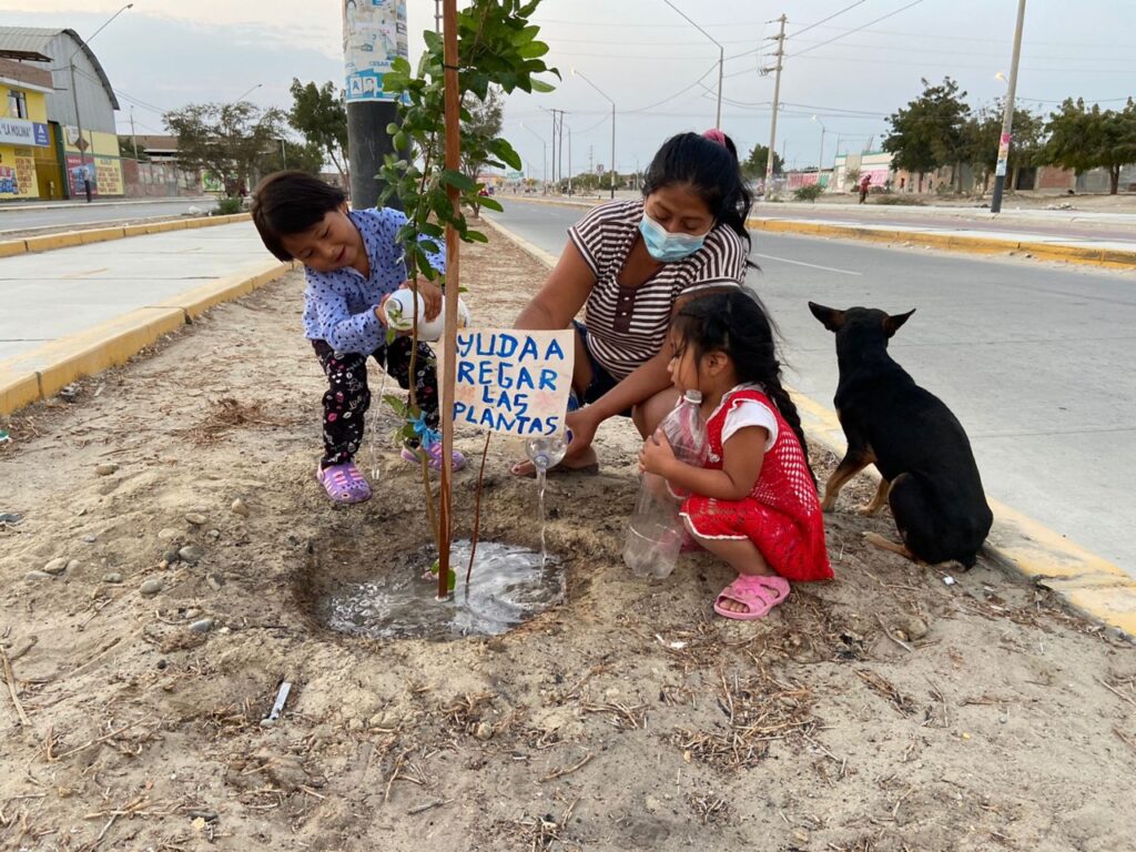 Piura: Familias del A.H. Ollanta Humala se benefician con áreas verdes e iluminación LED Piura: Familias del A.H. Ollanta Humala se benefician con áreas verdes e iluminación LED