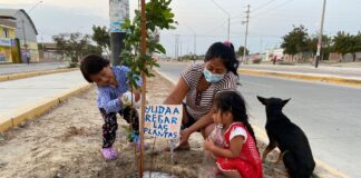 Piura: Familias del A.H. Ollanta Humala se benefician con áreas verdes e iluminación LED