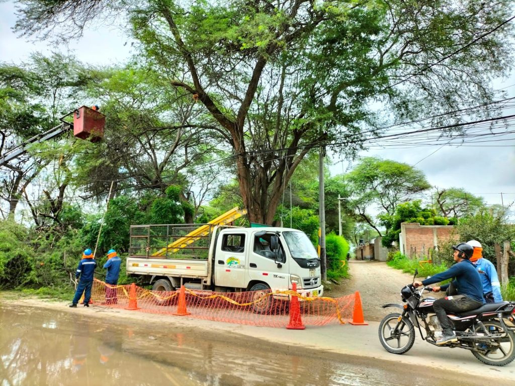 Enosa realiza poda de árboles para evitar accidentes en periodo de lluvias Poda de árboles