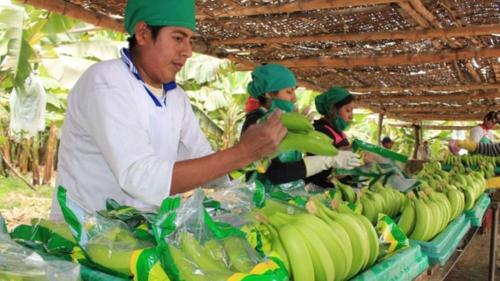 Economía en Piura creció solo 1.2% en el segundo trimestre del 2023