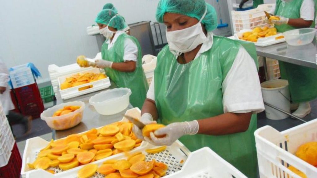 CIEN-ADEX: 2246 empresas peruanas dejaron de exportar entre enero y agosto del 2024 Exportaciones de Piura crecieron 26% en el primer semestre del 2023: ¿Cuáles fueron los principales mercados?