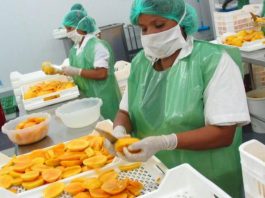 Exportaciones de Piura crecieron 26% en el primer semestre del 2023: ¿Cuáles fueron los principales mercados?