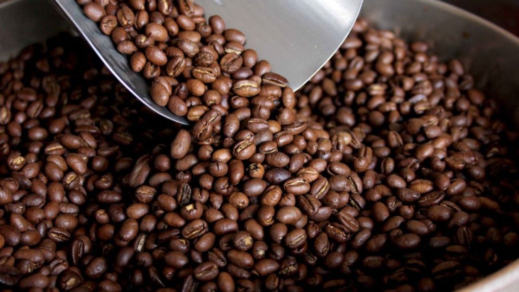Exportaciones de café peruano llegaron a 29 países en julio de 2023: ¿Cuáles fueron los principales destinos? Exportaciones de café peruano llegaron a 29 países en julio de 2023: ¿Cuáles fueron los principales destinos?