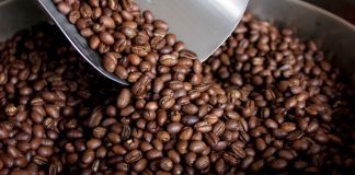 Exportaciones de café peruano llegaron a 29 países en julio de 2023: ¿Cuáles fueron los principales destinos?