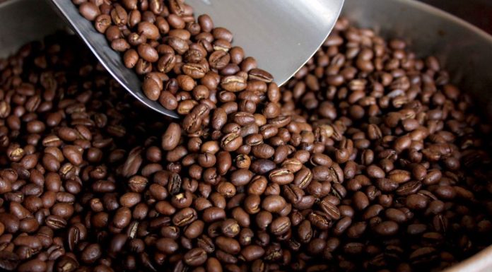 Exportaciones de café peruano llegaron a 29 países en julio de 2023: ¿Cuáles fueron los principales destinos?