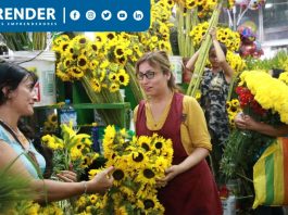 Flores amarillas: ¿A cuánto asciende su precio HOY, 21 de setiembre, y dónde comprarlas?