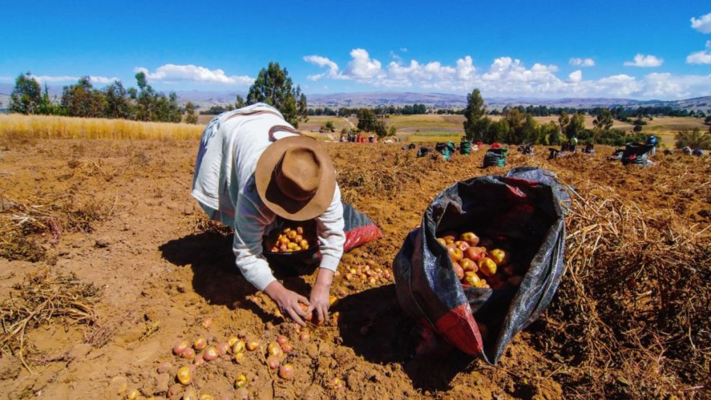 Precio de algunos alimentos podrían subir fuertemente en el primer trimestre del 2024 por el FEN Precio de algunos alimentos podrían subir fuertemente en el primer trimestre del 2023 por el FEN