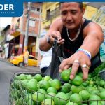 Precio del limón HOY, 23 de setiembre: ¿Cuánto cuesta en Lima y en el norte del Perú?