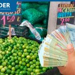 Precio del limón HOY, 26 de setiembre: ¿A cuánto se ofrece en los mercados?