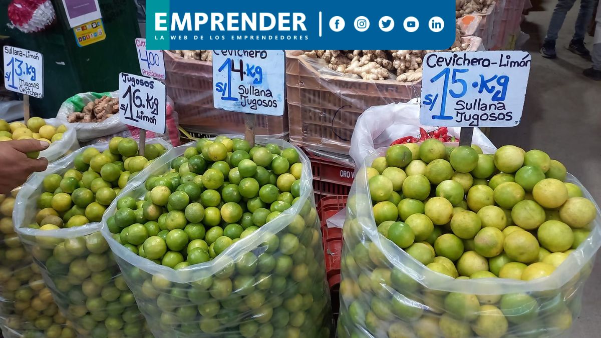 Precio del limón HOY: ¿A cuánto asciende el precio por kilo?