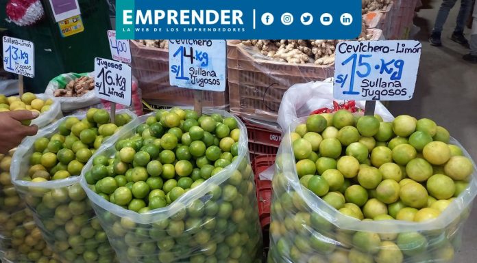 Precio del limón HOY, 5 de septiembre: ¿A cuánto asciende el kilo en el norte del Perú?