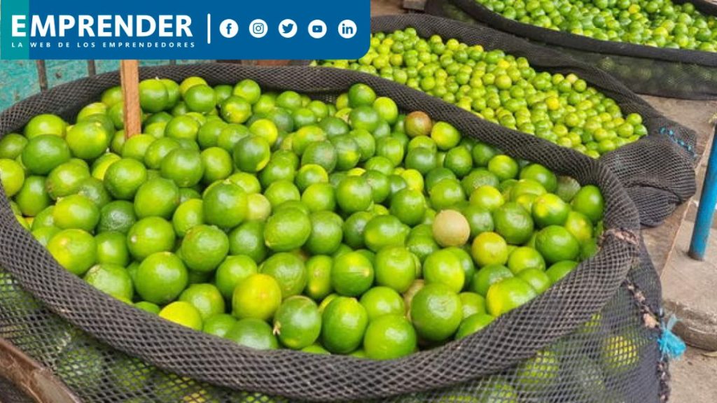 Precio del limón HOY, 9 de septiembre: ¿Dónde encontrarlo más barato?