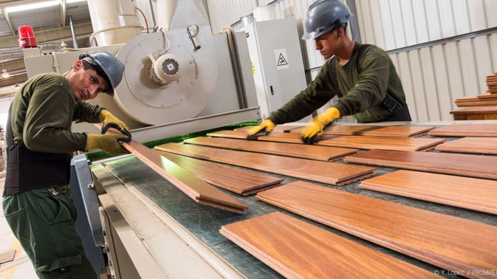 Sector industrial en rojo: Estos fueron los 12 subsectores que cayeron hasta julio de 2023 Sector industrial en rojo: Estos fueron los 12 subsectores que cayeron hasta julio de 2023