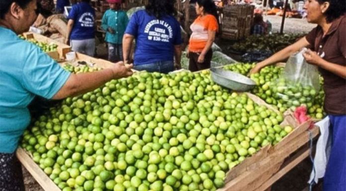 Abastecimiento de limón HOY, 06 de octubre, se incrementó en 107% en el GMML