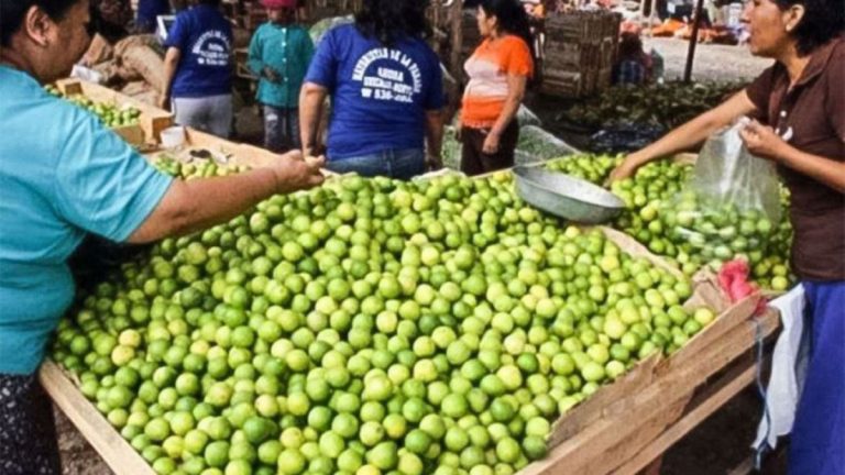 Abastecimiento de limón HOY, 06 de octubre, se incrementó en 107% en el GMML