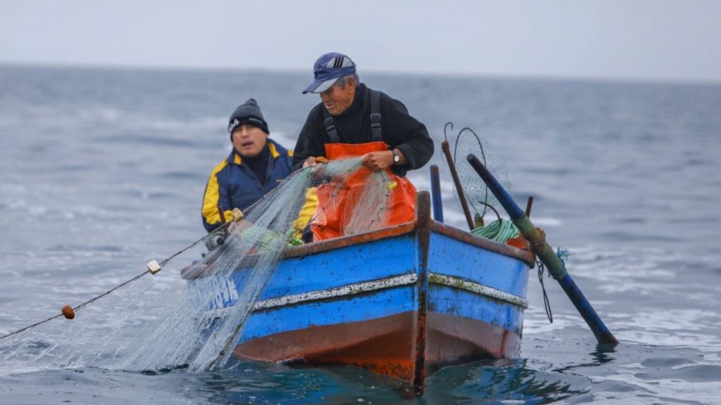 Impacto de El Niño se reflejaría en el sector pesca desde noviembre de 2023 Impacto de El Niño se reflejaría en el sector pesca desde noviembre de 2023