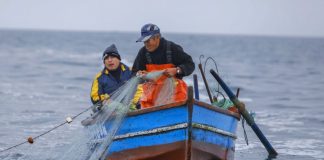 Impacto de El Niño se reflejaría en el sector pesca desde noviembre de 2023