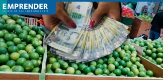Precio del limón HOY, 25 de octubre, alcanza los S3 el kilo en los mercados mayoristas