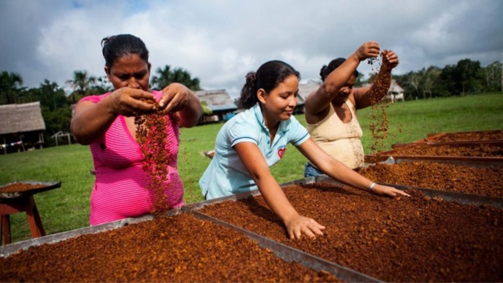 Produce invertirá S/15 millones para promover la innovación en 5 regiones del Perú Produce invertirá S/15 millones para promover la innovación en 5 regiones del Perú