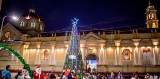 familias-alegran-arbol-navideno-en-avenida-grau