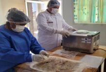 Emprendedoras de la caleta La Tortuga aprendieron a producir alimentos a base de recursos hidrobiológicos