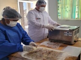 Emprendedoras de la caleta La Tortuga aprendieron a producir alimentos a base de recursos hidrobiológicos