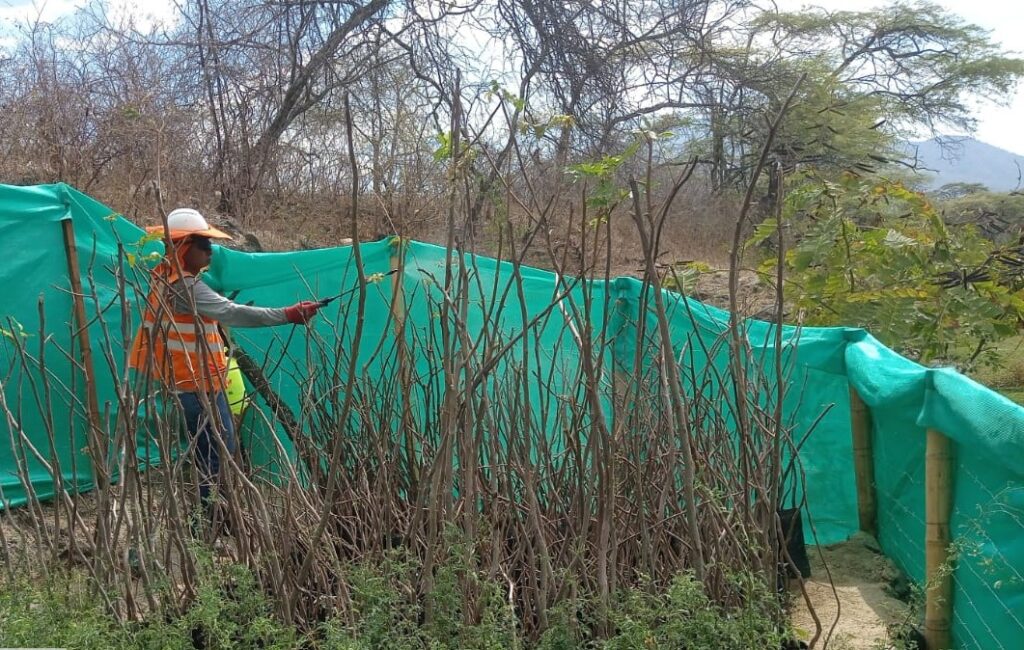 Enosa inicia proyecto de reforestación en Suyo Enosa inicia proyecto de reforestación en Suyo
